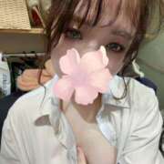 ヒメ日記 2025/11/09 03:13 投稿 ことね プリティーステージ