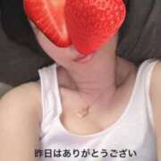 ヒメ日記 2025/08/20 15:29 投稿 長内 晶子 イマジン東京