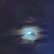 ヒメ日記 2025/11/01 00:54 投稿 おむ 手こき＆オナクラ 大阪はまちゃん