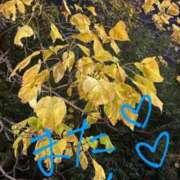 ヒメ日記 2025/11/16 23:30 投稿 おむ 手こき＆オナクラ 大阪はまちゃん