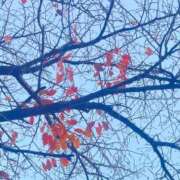 ヒメ日記 2025/12/25 23:10 投稿 おむ 手こき＆オナクラ 大阪はまちゃん