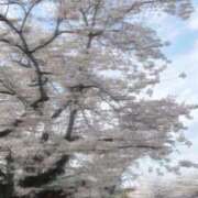 ヒメ日記 2026/03/27 12:20 投稿 おむ 手コキ＆オナクラ 大阪はまちゃん 梅田店