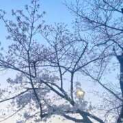 ヒメ日記 2026/04/03 12:20 投稿 おむ 手コキ＆オナクラ 大阪はまちゃん 梅田店