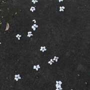 ヒメ日記 2026/04/06 12:20 投稿 おむ 手コキ＆オナクラ 大阪はまちゃん 梅田店