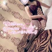 ヒメ日記 2025/04/14 14:12 投稿 熟女 さよこ ハナミズキ