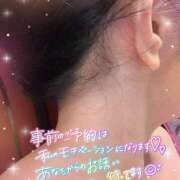 ヒメ日記 2025/05/11 18:48 投稿 熟女 さよこ ハナミズキ