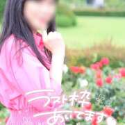 ヒメ日記 2025/07/06 17:28 投稿 熟女 さよこ ハナミズキ