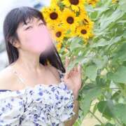 ヒメ日記 2025/07/14 13:16 投稿 熟女 さよこ ハナミズキ