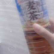 ヒメ日記 2025/04/05 16:06 投稿 れいな club さくら日本橋店