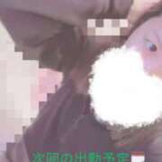 ヒメ日記 2025/04/27 23:46 投稿 れいな club さくら日本橋店