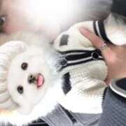 ヒメ日記 2026/01/06 12:56 投稿 れいな club さくら日本橋店