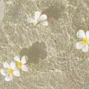 ヒメ日記 2026/03/02 12:10 投稿 れいな club さくら日本橋店