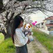 ヒメ日記 2026/03/14 08:56 投稿 れいな club さくら日本橋店