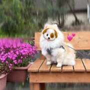 ヒメ日記 2026/04/10 08:46 投稿 れいな club さくら日本橋店