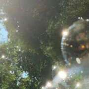 ヒメ日記 2026/04/11 09:33 投稿 れいな club さくら日本橋店