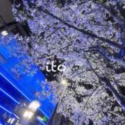 ヒメ日記 2025/04/03 07:31 投稿 いと 男爵