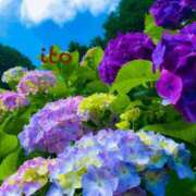 ヒメ日記 2025/06/12 12:24 投稿 いと 男爵