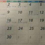 ヒメ日記 2025/11/30 10:15 投稿 いと 男爵