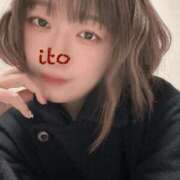 ヒメ日記 2025/12/31 18:30 投稿 いと 男爵