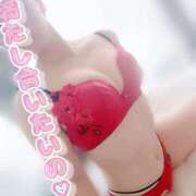 ヒメ日記 2026/02/15 07:42 投稿 松浦 ゆみ HANA-okinawa-