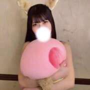 ヒメ日記 2025/02/26 08:33 投稿 ひな CECIL