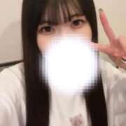 ヒメ日記 2025/03/08 11:25 投稿 ひな CECIL