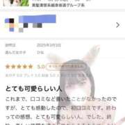 ヒメ日記 2025/03/11 22:55 投稿 ひな CECIL