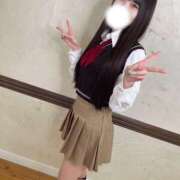 ヒメ日記 2025/03/26 10:15 投稿 ひな CECIL