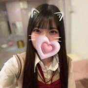 ヒメ日記 2025/05/17 14:48 投稿 ひな CECIL