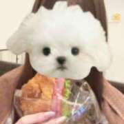 ヒメ日記 2025/06/19 18:36 投稿 ひな CECIL