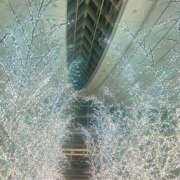 ヒメ日記 2025/03/05 17:32 投稿 いまり バイオレンス