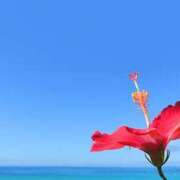 はるの おはようございます。暑ッ 奥鉄オクテツ東京店（デリヘル市場）