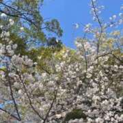 ヒメ日記 2025/04/04 14:35 投稿 福住はるな メンズエステ錦糸町@彼女はエステシャン