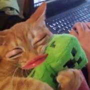 ヒメ日記 2025/04/06 05:36 投稿 福住はるな メンズエステ錦糸町@彼女はエステシャン