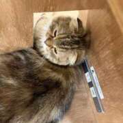 ヒメ日記 2025/04/11 17:58 投稿 福住はるな メンズエステ錦糸町@彼女はエステシャン