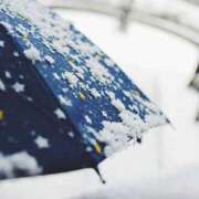 ヒメ日記 2025/02/25 07:49 投稿 ひまり タレントCLUB