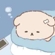 ヒメ日記 2025/05/31 00:39 投稿 ひまり タレントCLUB