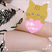 ヒメ日記 2025/08/30 09:06 投稿 ひまり タレントCLUB