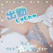 ヒメ日記 2026/03/17 09:16 投稿 ひまり タレントCLUB