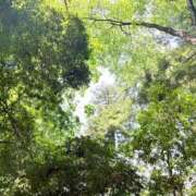 ヒメ日記 2025/05/14 17:02 投稿 佳乃(よしの) PLUS梅田店