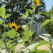 ヒメ日記 2025/06/29 16:02 投稿 佳乃(よしの) PLUS梅田店