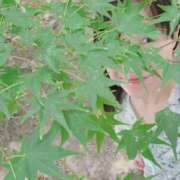 ヒメ日記 2025/10/01 12:12 投稿 佳乃(よしの) PLUS梅田店