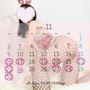 ヒメ日記 2025/11/23 20:42 投稿 佳乃(よしの) PLUS梅田店