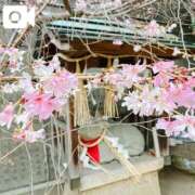 ヒメ日記 2026/02/20 16:52 投稿 佳乃(よしの) PLUS梅田店