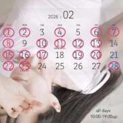 ヒメ日記 2026/02/24 13:49 投稿 佳乃(よしの) PLUS梅田店