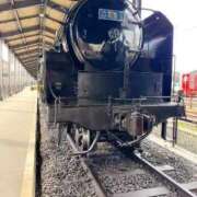 ヒメ日記 2026/03/16 09:12 投稿 佳乃(よしの) PLUS梅田店