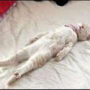 ヒメ日記 2025/05/18 10:21 投稿 横川 MadameRest(マダムレスト)