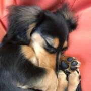 ヒメ日記 2025/05/27 04:02 投稿 横川 MadameRest(マダムレスト)