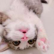 ヒメ日記 2025/05/28 17:40 投稿 横川 MadameRest(マダムレスト)