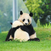 ヒメ日記 2025/06/02 13:16 投稿 横川 MadameRest(マダムレスト)